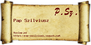 Pap Szilviusz névjegykártya